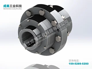 CLZ Drum Gear Coupling