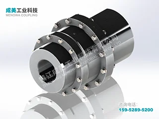 GICLZ Drum Gear Coupling