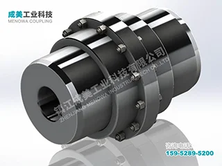 GIICL Drum Gear Coupling