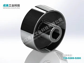 NGCLZ Drum Gear Coupling