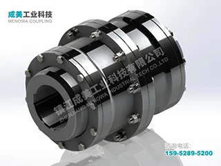 WGC Drum Gear Coupling