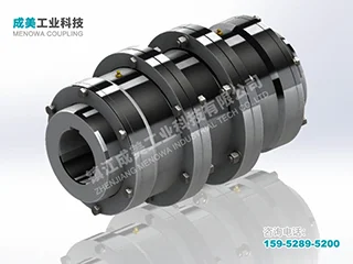 WGT Drum Gear Coupling