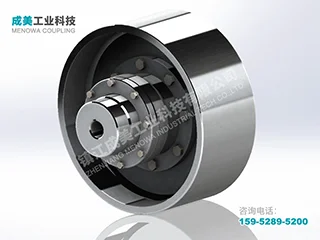 WGZ Drum Gear Coupling