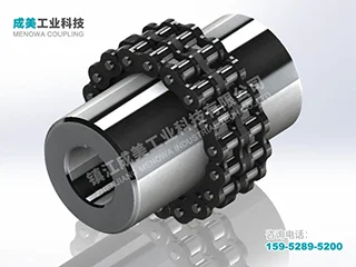 GL Roller Chain Coupling